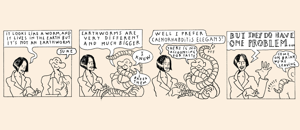 A taste of light - strip 5