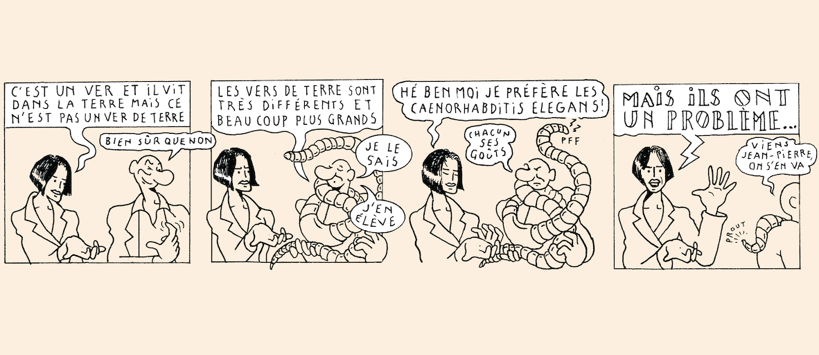 A taste of light - strip 5