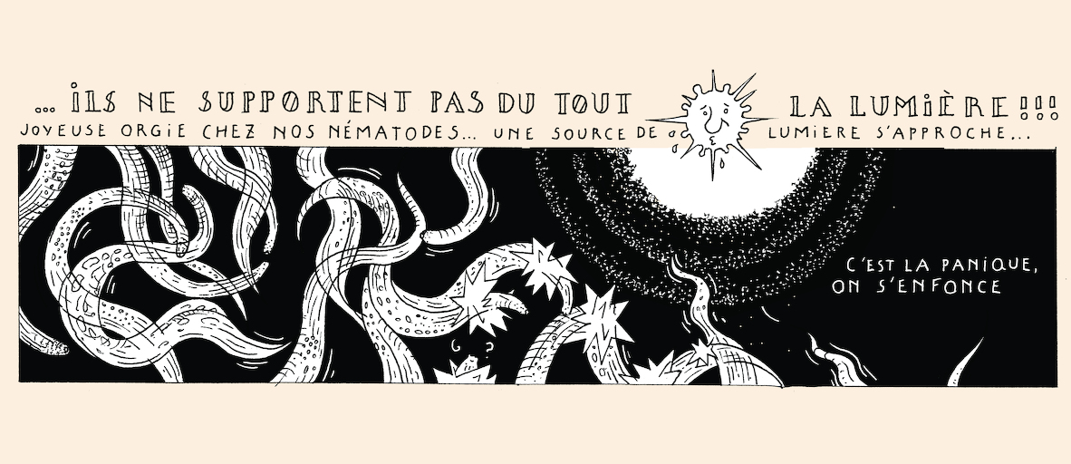 A taste of light - strip 6