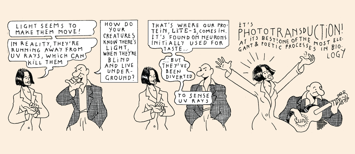 A taste of light - strip 7