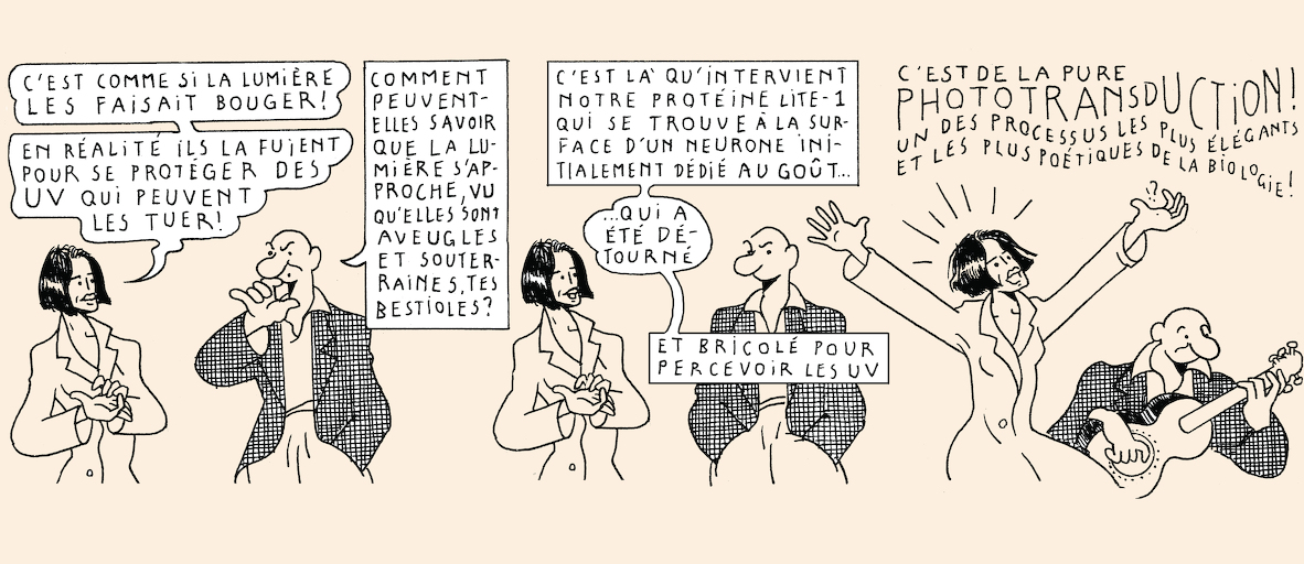 A taste of light - strip 7