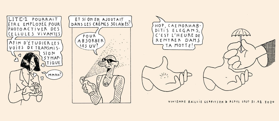 A taste of light - strip 9