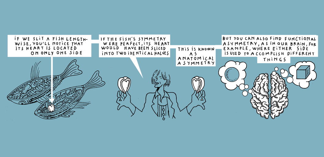 Another kind of harmony - strip 5