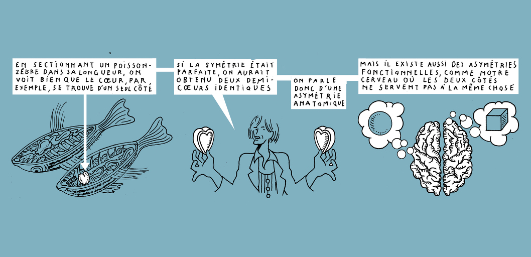 Another kind of harmony - strip 5