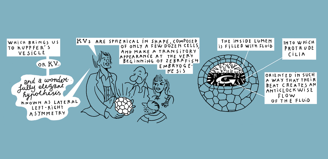 Another kind of harmony - strip 6