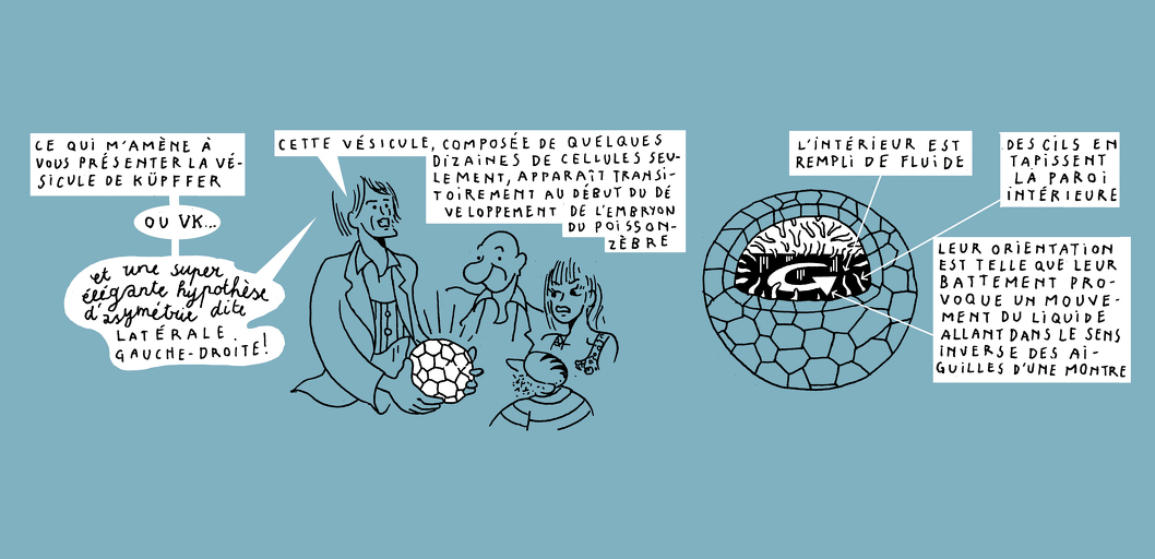 Another kind of harmony - strip 6