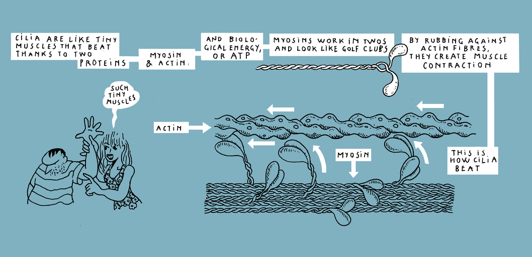 Another kind of harmony - strip 8