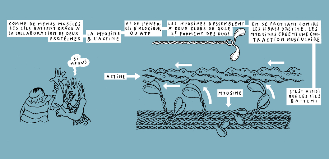 Another kind of harmony - strip 8