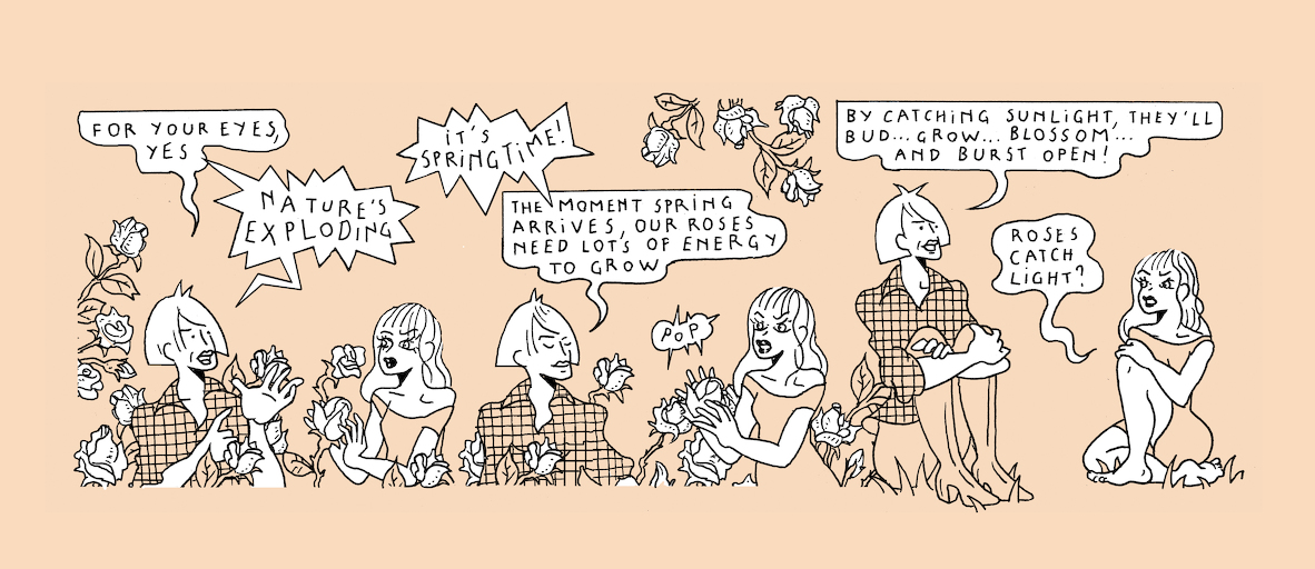 On light, buds and bursts - strip 3