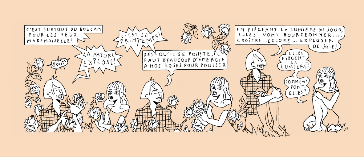 On light, buds and bursts - strip 3