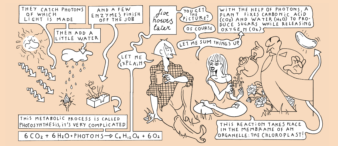 On light, buds and bursts - strip 4