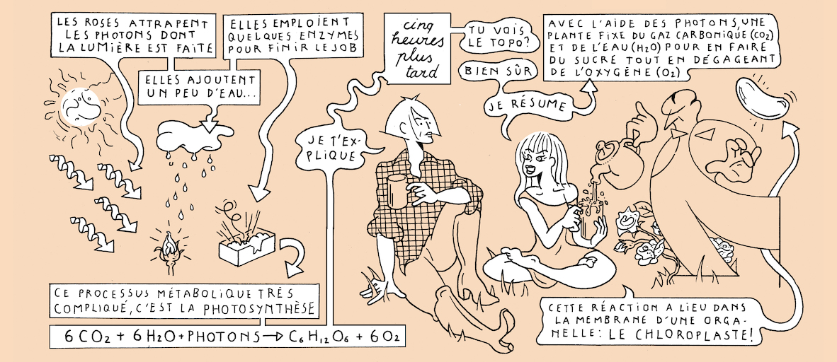 On light, buds and bursts - strip 4