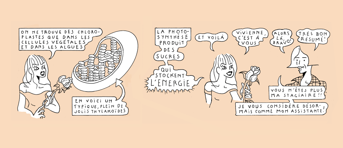 On light, buds and bursts - strip 5