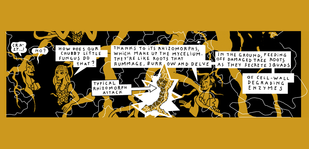 Beneath us - strip 3