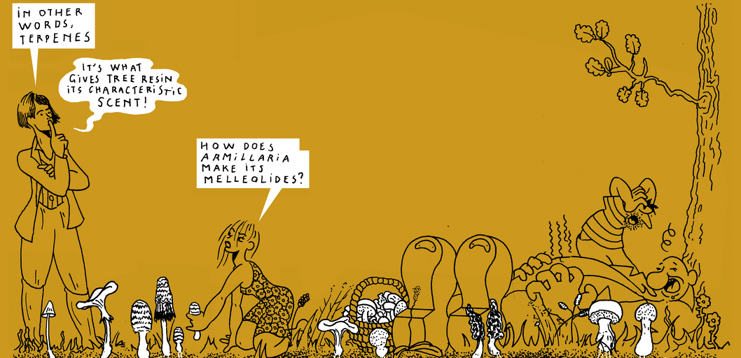 Beneath us - strip 5