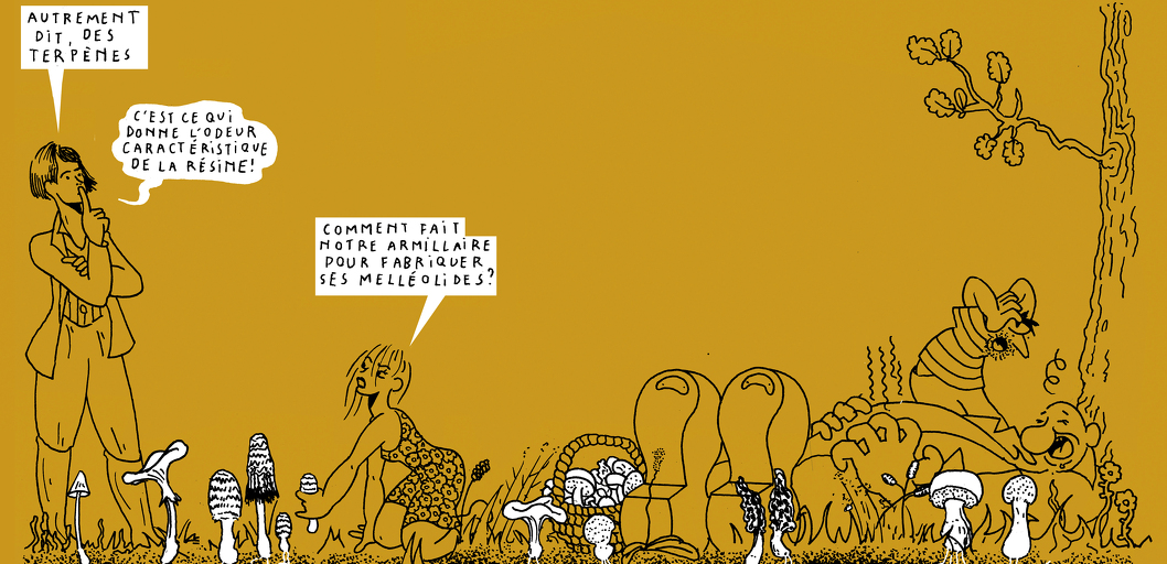 Beneath us - strip 5