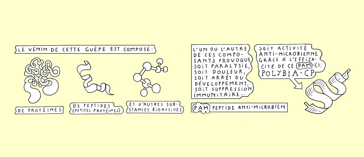 A wasp's sting - strip 5