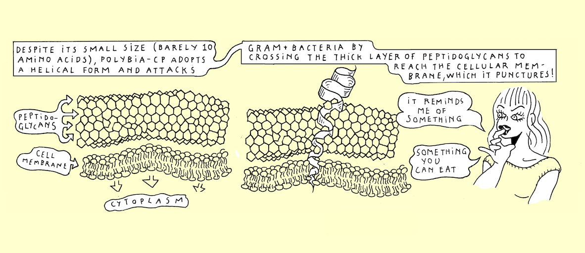 A wasp's sting - strip 6