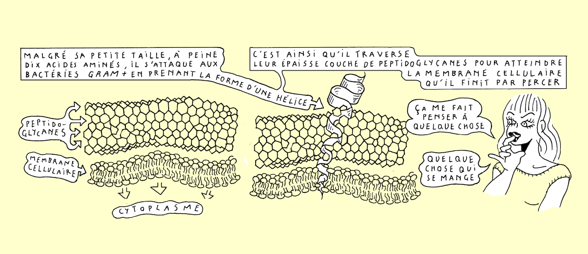 A wasp's sting - strip 6