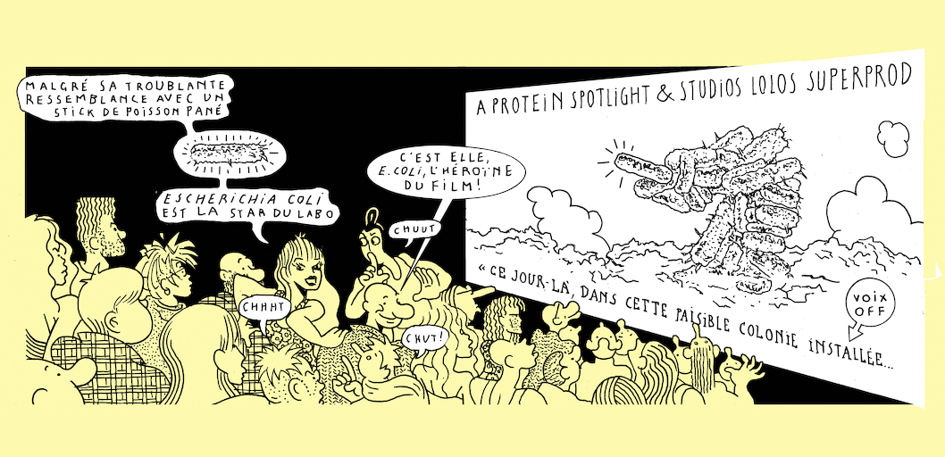 Small sacrifice - strip 3