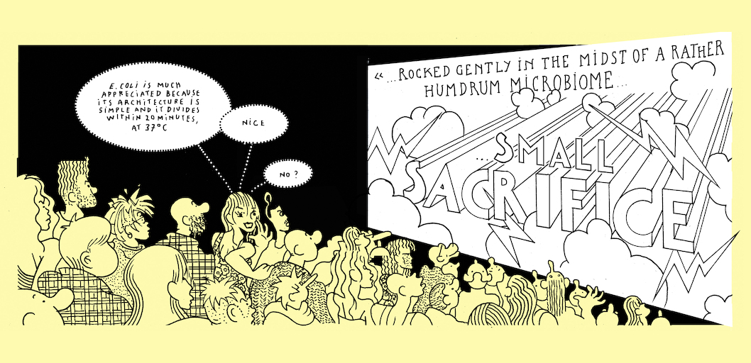 Small sacrifice - strip 4