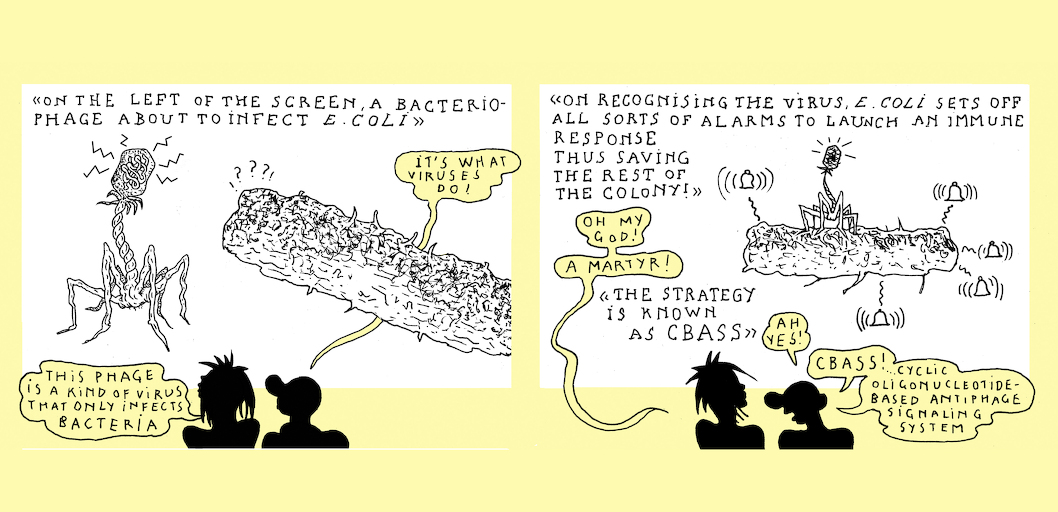 Small sacrifice - strip 5