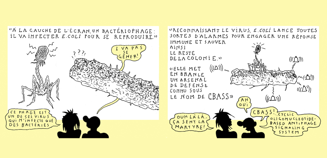 Small sacrifice - strip 5