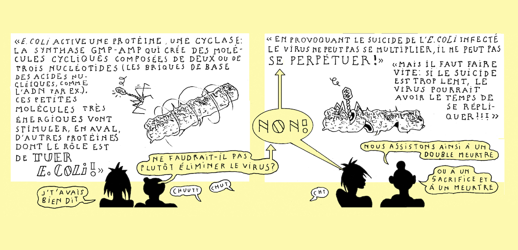 Small sacrifice - strip 6