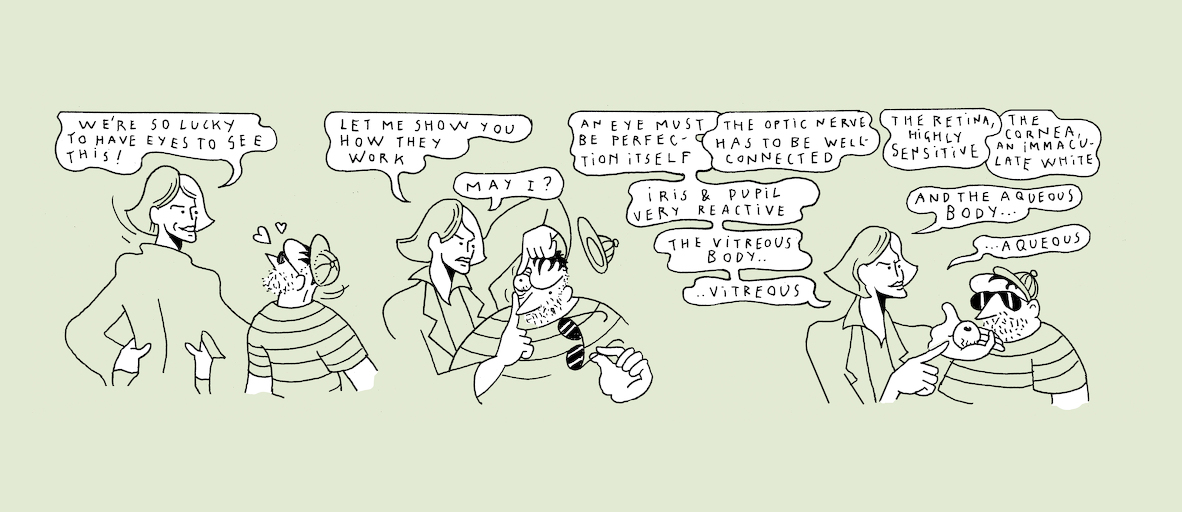 The makings of transparency - strip 2