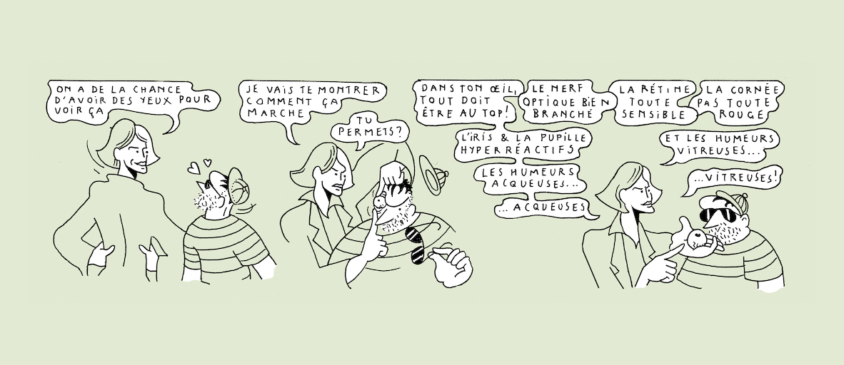 The makings of transparency - strip 2