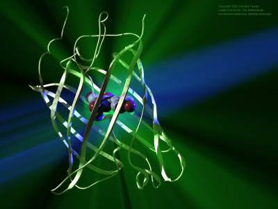 [ Green fluorescent protein ]