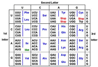 [ The good old genetic code ]