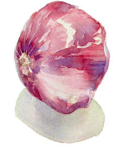 ['Onion', Evan Nabrit ]