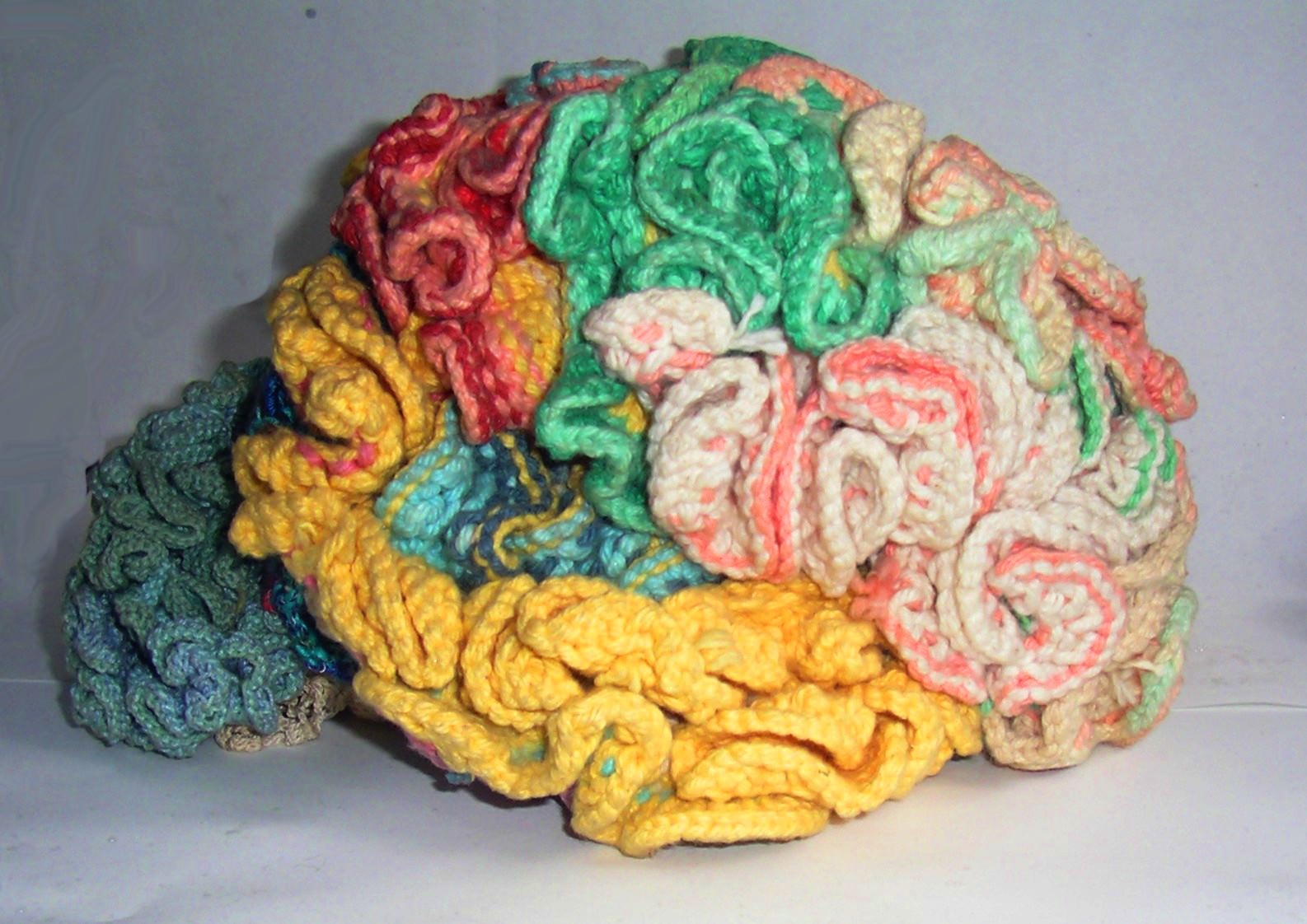 [ 'Knitted brain', Karen Norberg ]