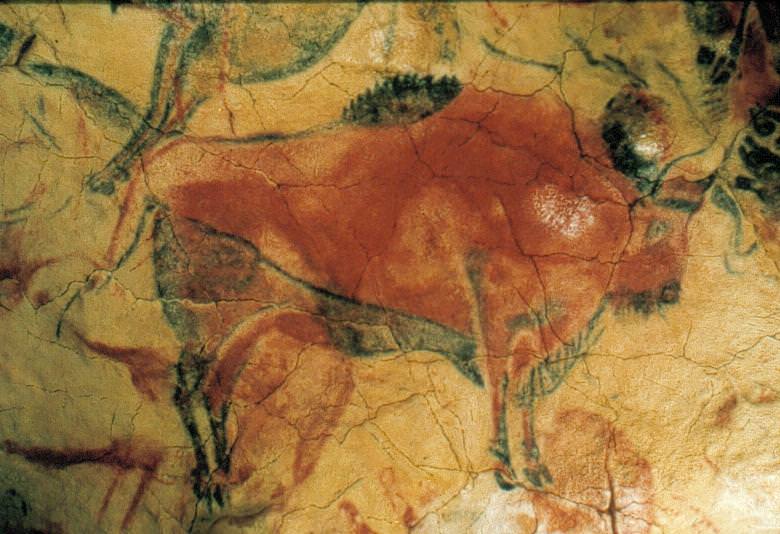 [ Bison from the Altamira Cave in Spain]