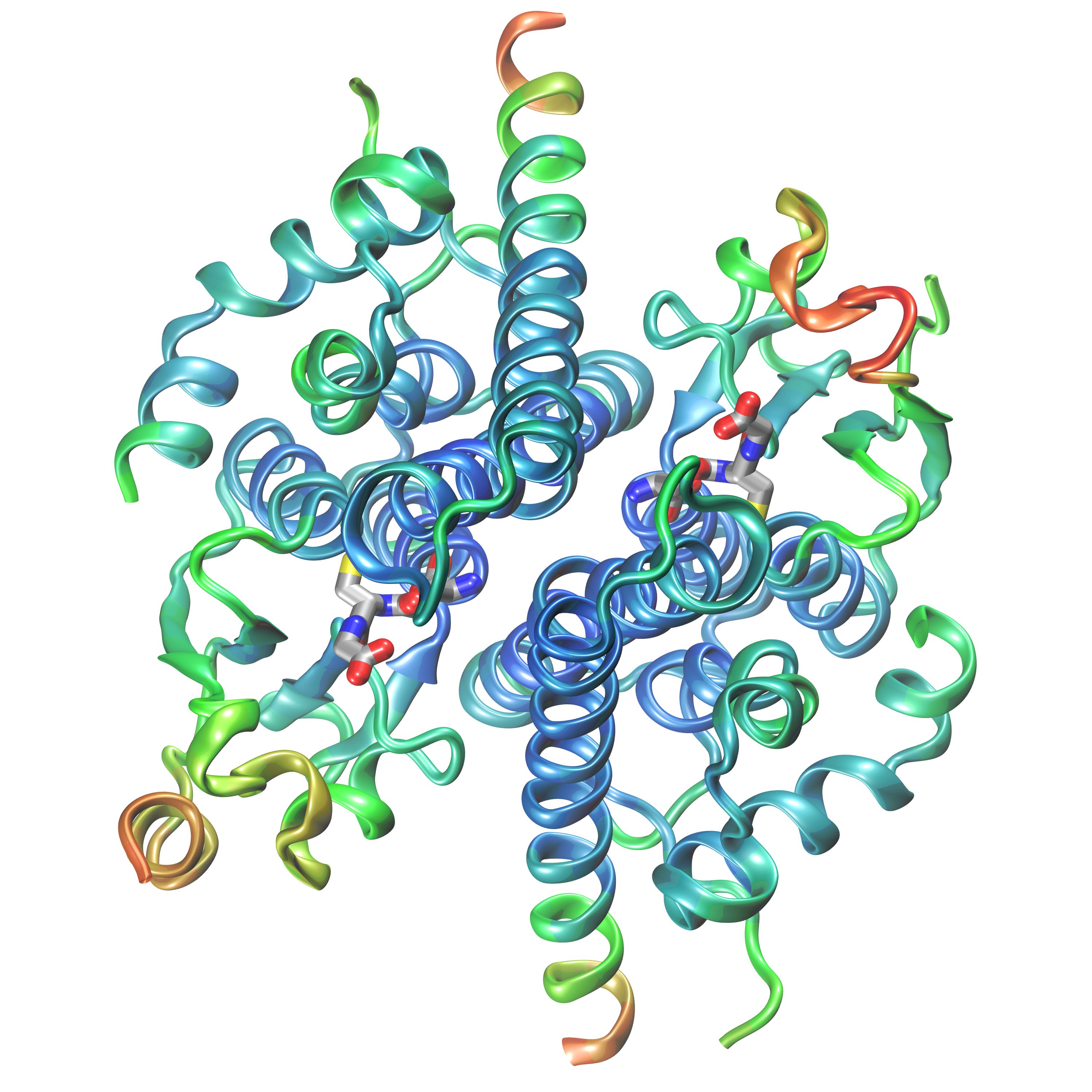 [Dimer of the prion Ure2P]