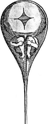 [ Human sperm cell by the Dutch scientist Nicolas Hartsoeker (1656-1725)]