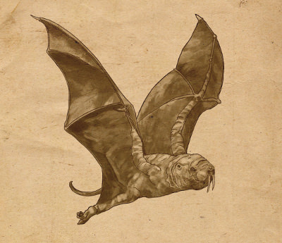 ['<em>Naked mole bat</em>' ]