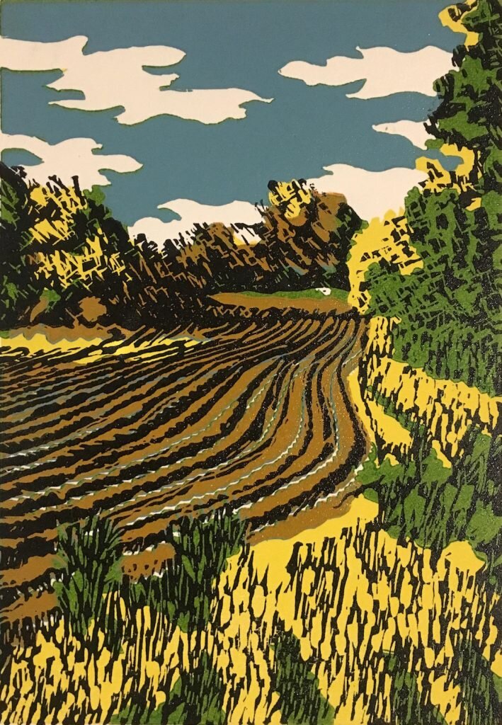 ploughed field